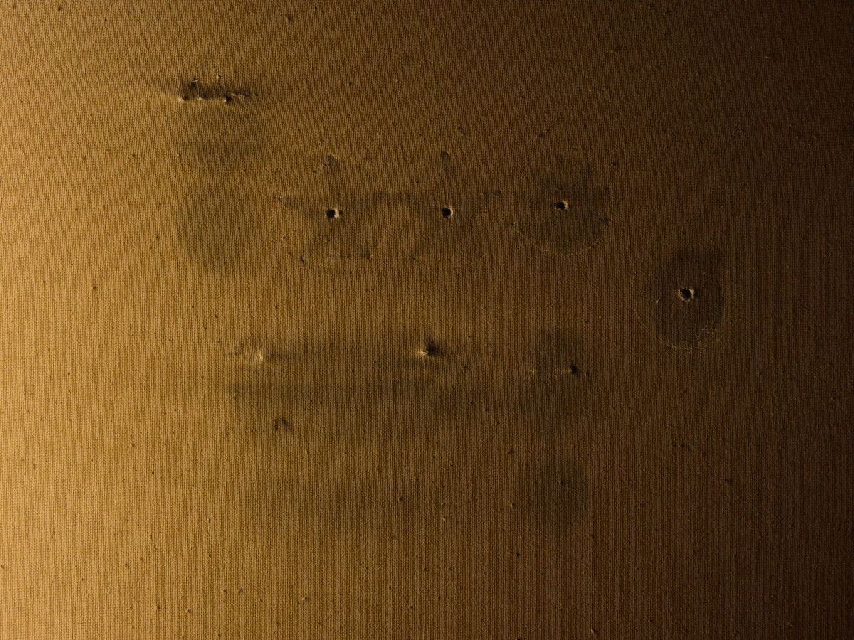 Фестиваль короткометражних фільмів Wiz-Art оголосив переможців