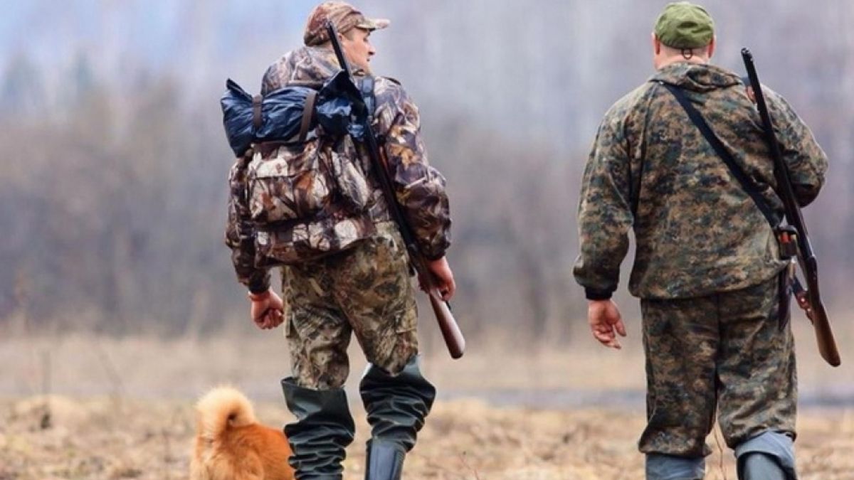 На Львівщині провели відстріл бродячих собак і котів
