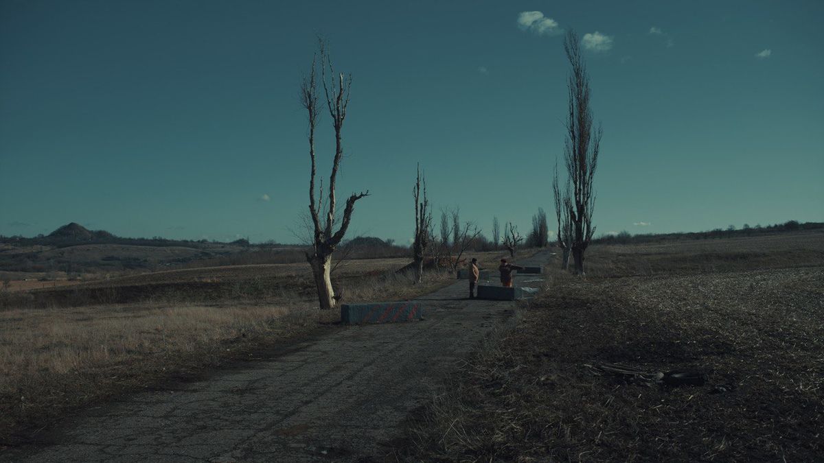 Український фільм «Сірі бджоли» покажуть на Роттердамському фестивалі