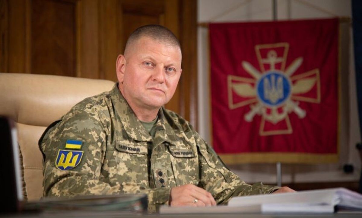 Валерій Залужний підтримав виключення терміну «обмежено придатний»