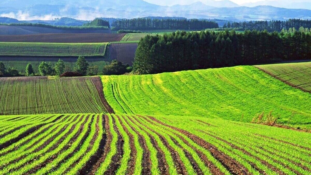 Український бізнес отримав змогу купувати сільськогосподарську землю