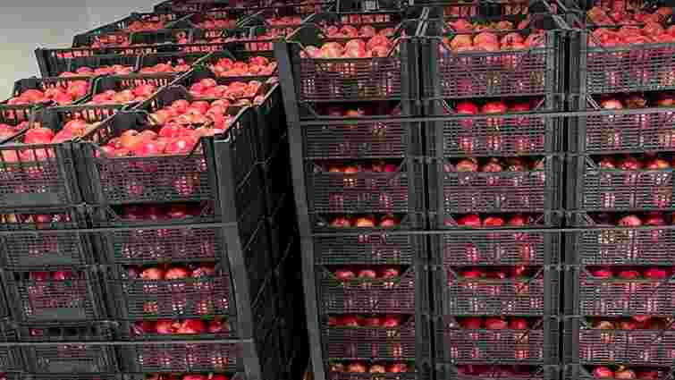 На Буковині підприємці продавали імпортовані фрукти й овочі без сплати податків