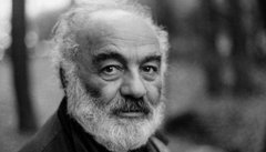 Небезпечно вільна людина