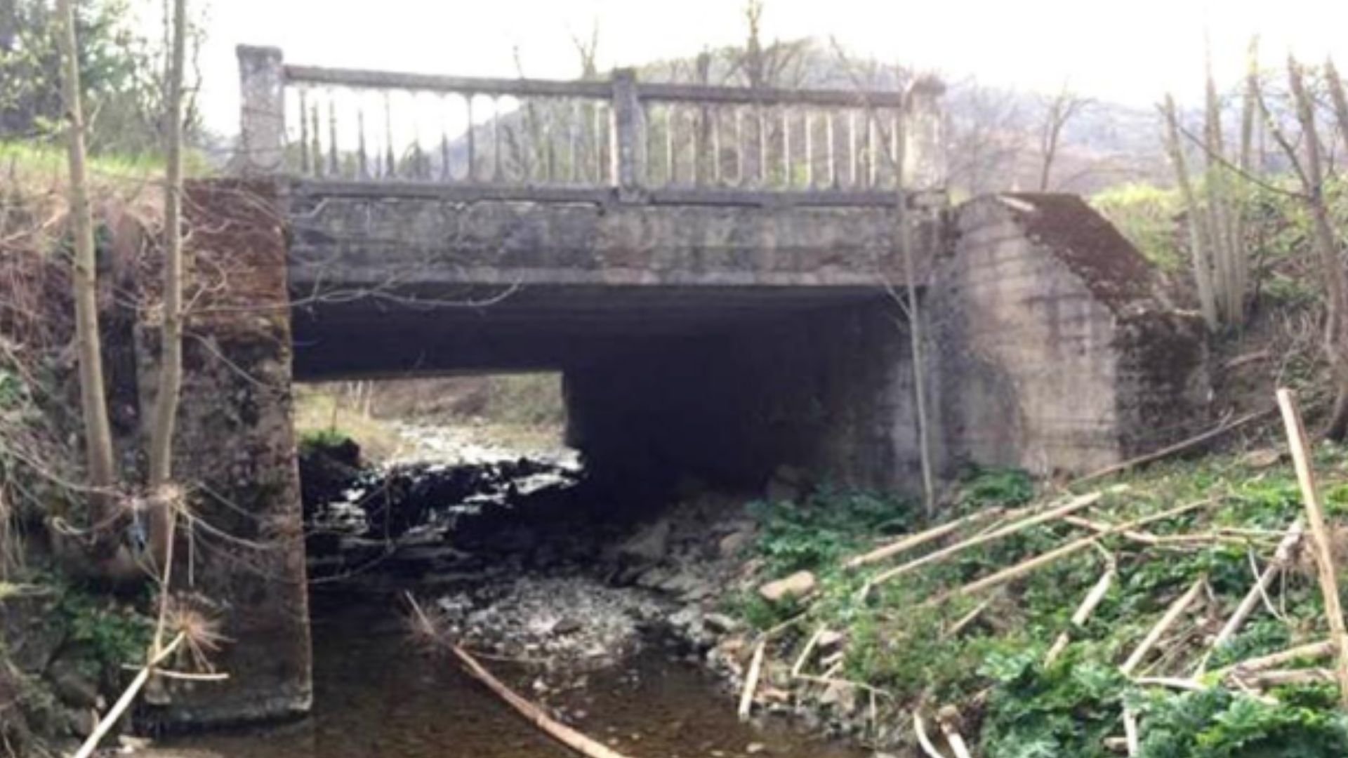 Другий міст біля села Гребенів, який планують відремонтувати (Фото з технічної документації)