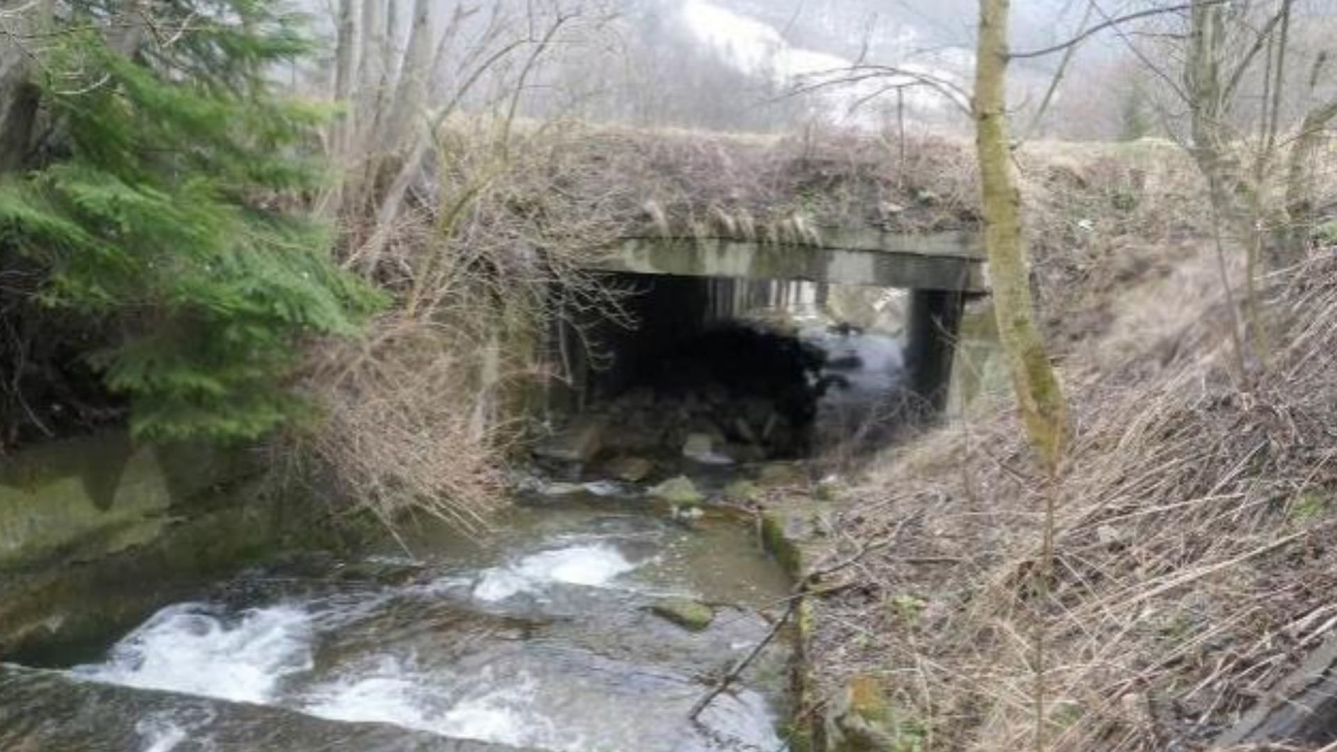 Третій міст біля села Гребенів, який планують відремонтувати (Фото з технічної документації)