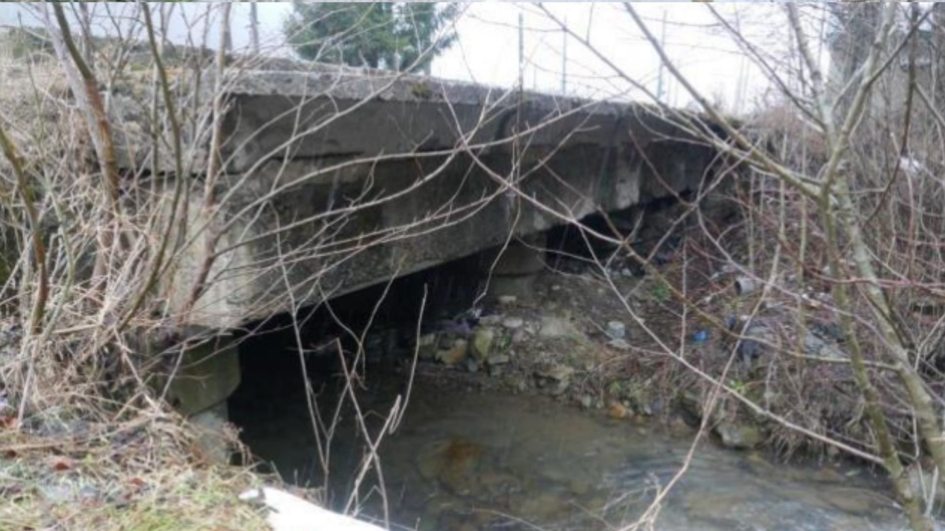 Червертий міст біля села Гребенів, який планують відремонтувати (Фото з технічної документації)
