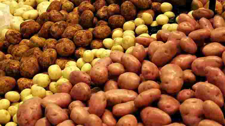 Управління освіти Тернополя оголосило тендер на закупівлю картоплі по 25 грн за кілограм