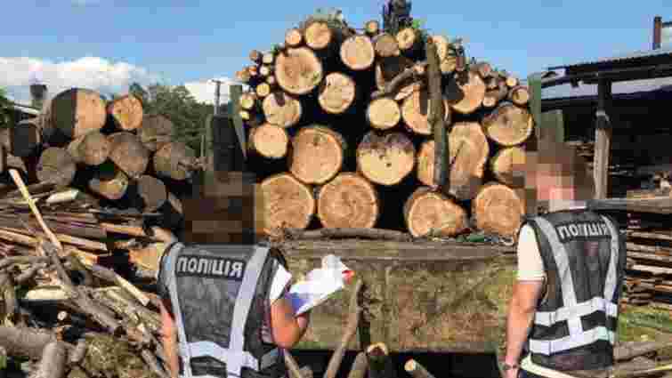 Трьох браконьєрів судитимуть за вирубку дерев на 2,2 млн грн у Яворівському заповіднику