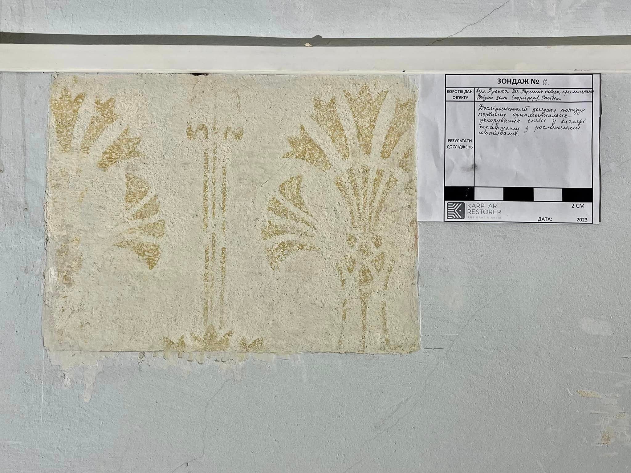 Волошки на стінах