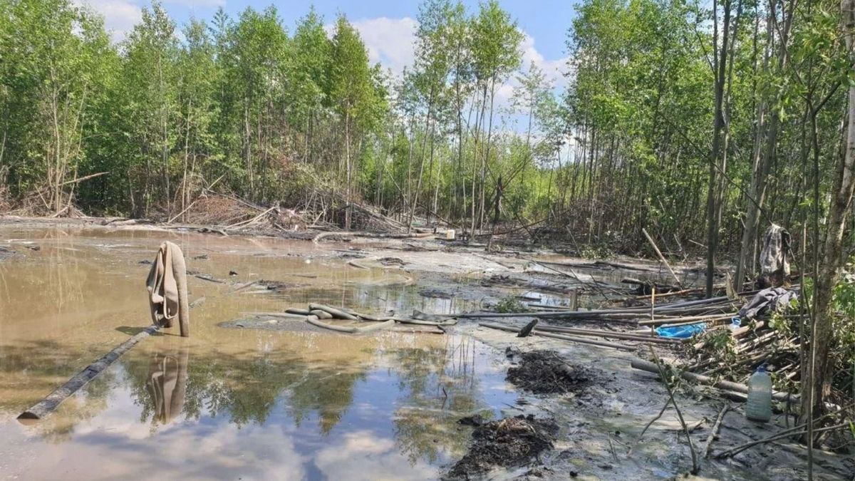 Двох жінок на Рівненщині судили за бійку з поліцейськими під час видобування бурштину