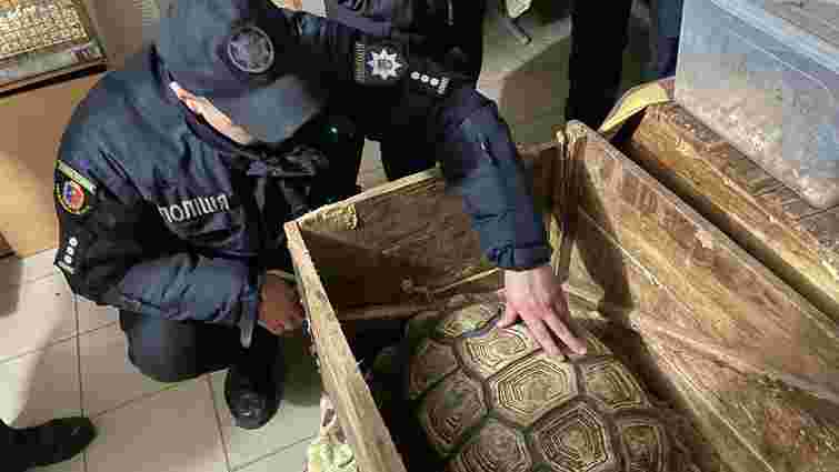 У Кам'янці-Подільському закрили незаконну пересувну виставку рептилій