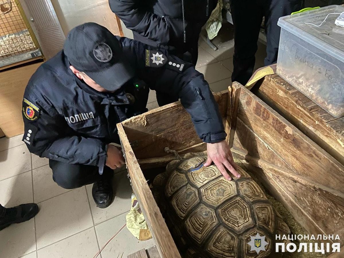 У Кам'янці-Подільському закрили незаконну пересувну виставку рептилій