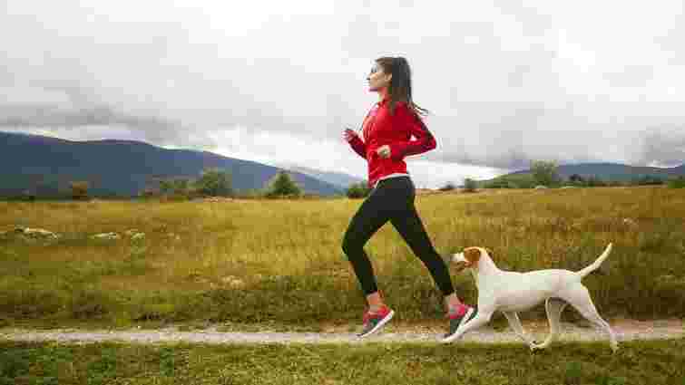 Топ-5 порід собак для людей, які займаються бігом: опис породи, характер, фото