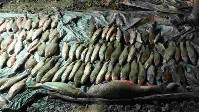 У нацпарку на Хмельниччині браконьєр наловив риби на 4,3 млн грн
