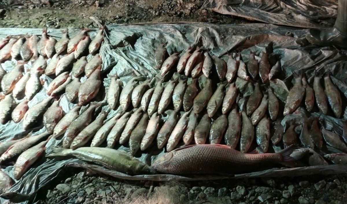 У нацпарку на Хмельниччині браконьєр наловив риби на 4,3 млн грн