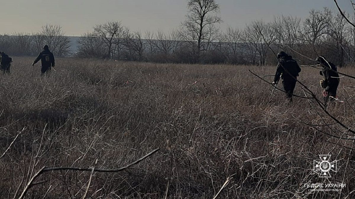 На Миколаївщині четверо чоловіків підірвались на міні