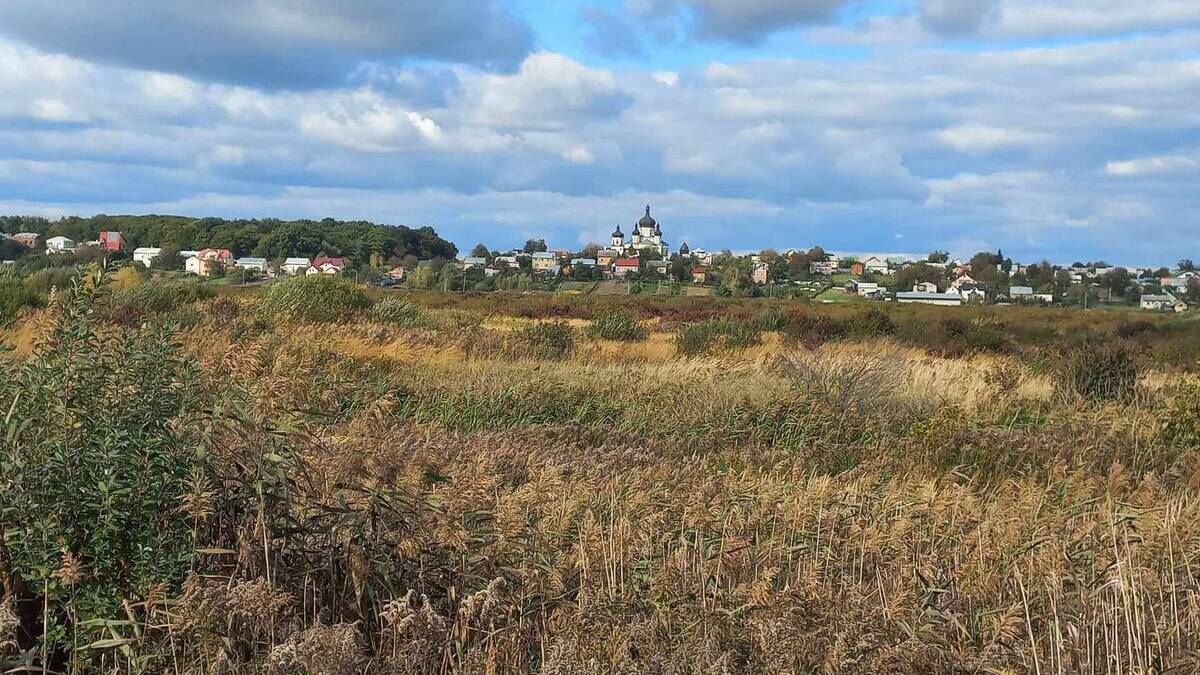 Торфовище в Гамаліївці – майже 4 000 га території без назви