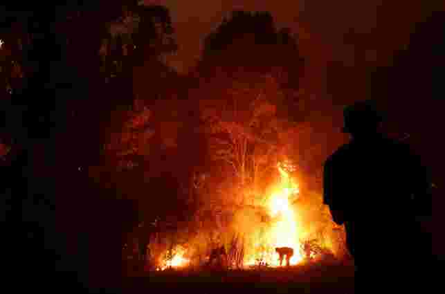 Через лісові пожежі у Чилі загинули щонайменше 50 людей