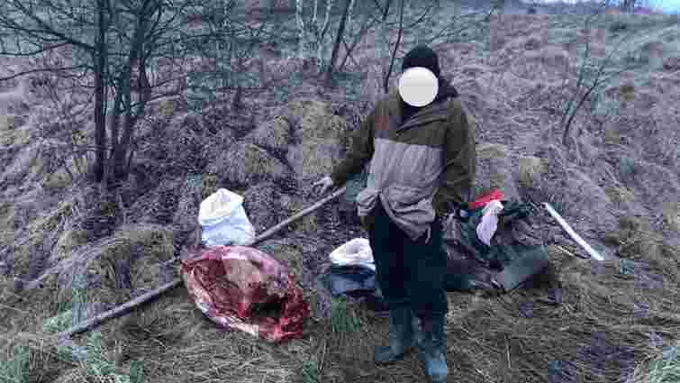 На Львівщині спіймали браконьєра з тушею червонокнижного лося