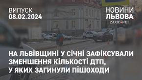 На Львівщині у січні зафіксували зменшення кількості ДТП, у яких загинули пішоходи