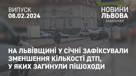 На Львівщині у січні зафіксували зменшення кількості ДТП, у яких загинули пішоходи