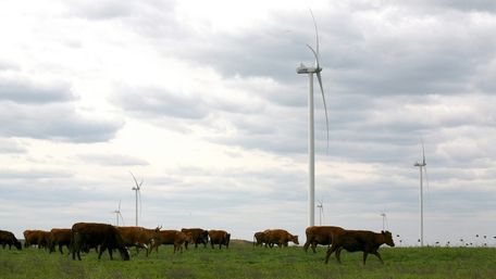 Холдинг ОККО купить проект вітрової електростанції на Волині