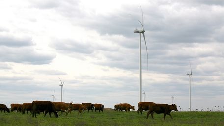 Холдинг ОККО купить проект вітрової електростанції на Волині