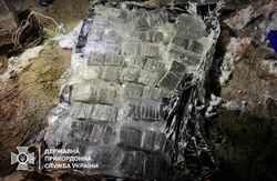 На Волині прикордонники збили дрон із наркотиками на 13 млн грн