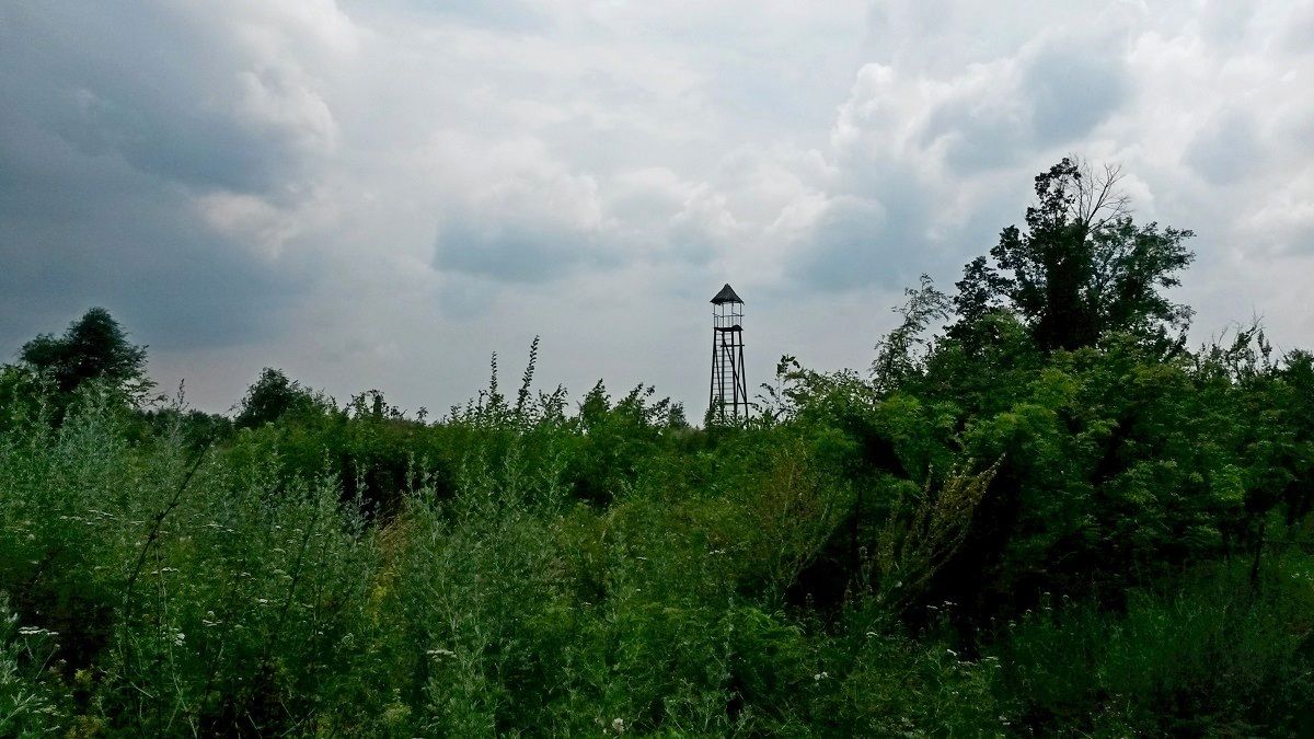 Якою була козацька розвідка