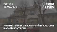 У центрі Львова зріжуть 80-річні каштани в аварійному стані