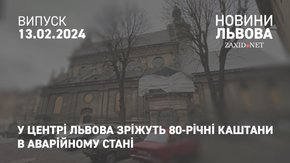 У центрі Львова зріжуть 80-річні каштани в аварійному стані