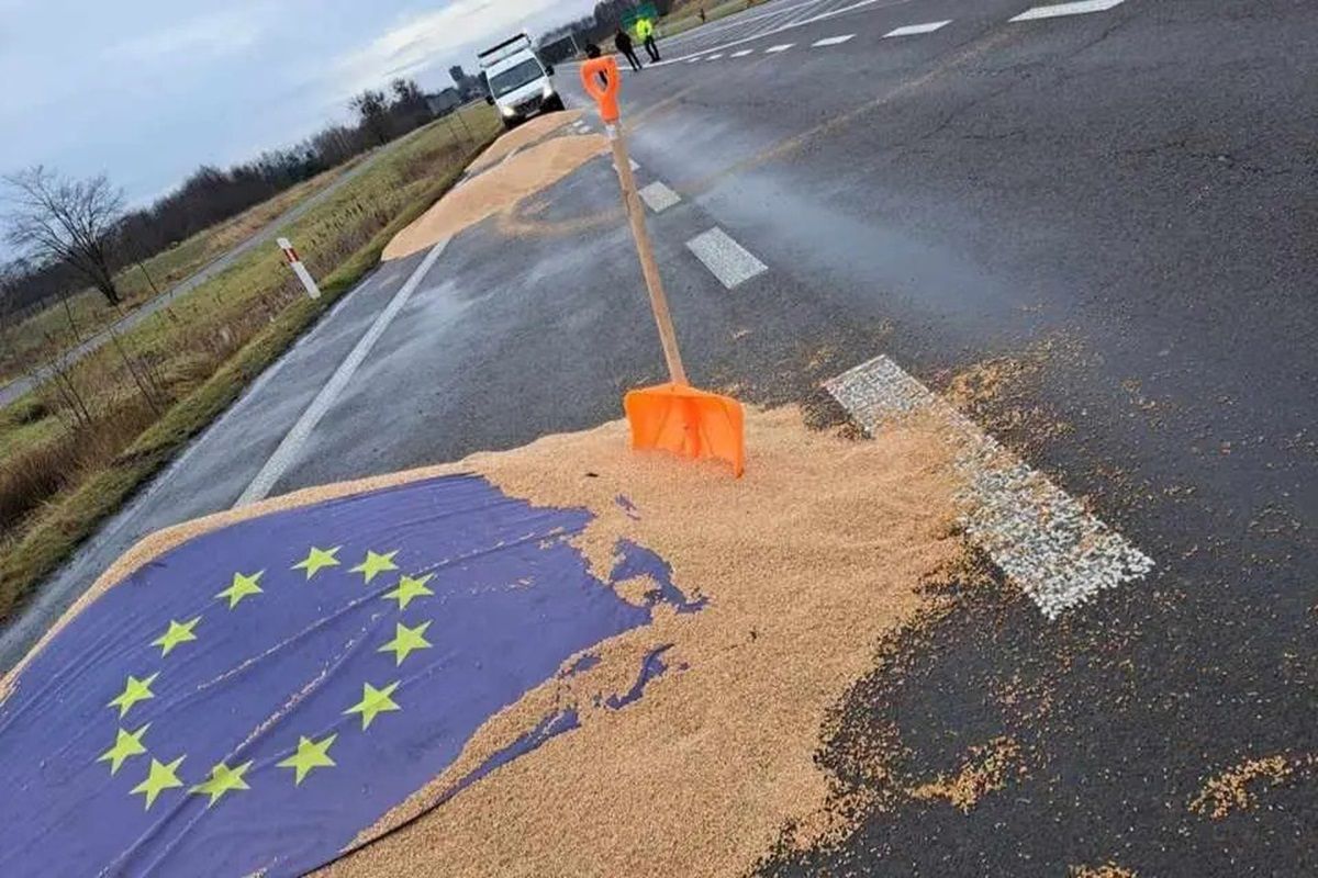 Як поляк, я відчуваю розчарування і сором