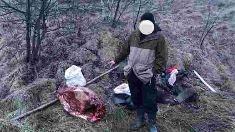 Львівський суд оштрафував браконьєра за вбивство червонокнижного лося