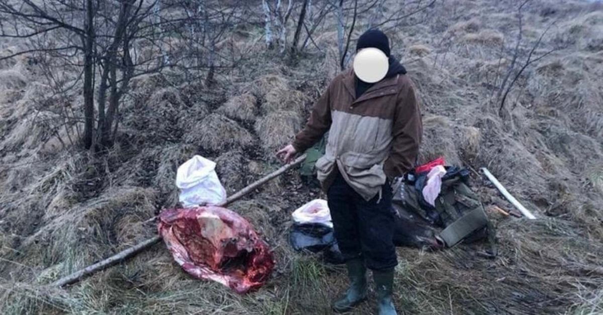 Львівський суд оштрафував браконьєра за вбивство червонокнижного лося
