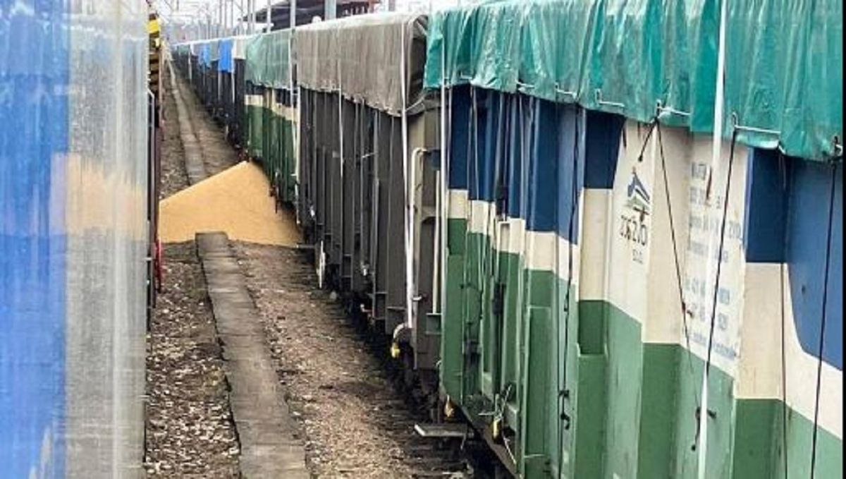 У Польщі невідомі знову висипали українське збіжжя