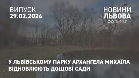 У львівському парку Архангела Михаїла відновлюють дощові сади