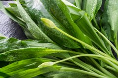 8 страв з черемші на будь-який смак