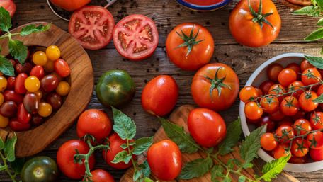 Свої помідори вже в кінці травня: топ-7 суперранніх сортів
