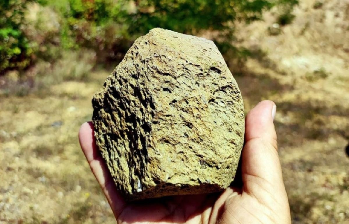 На Закарпатті знайшли найдавніші артефакти людей у Європі віком 1,4 млн років