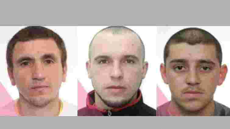 На Буковині розшукують трьох чоловіків за напад та побиття поліцейських