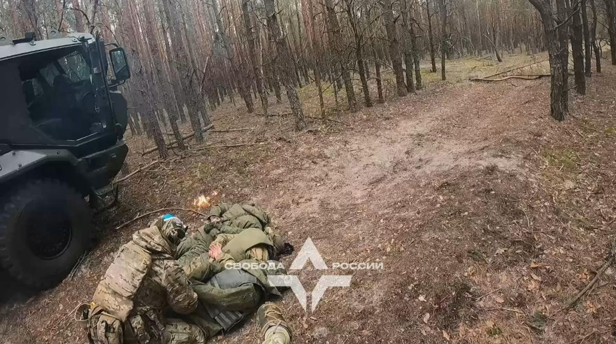 Російські добровольці під час атаки на області Росії знищили понад 600 військовослужбовців
