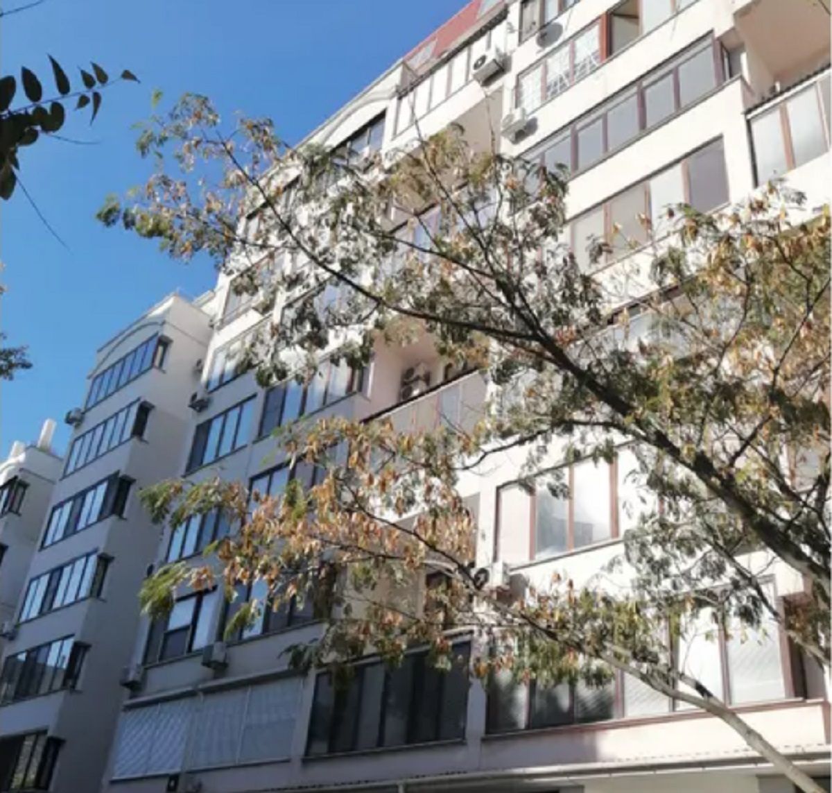 Фонд держмайна продає квартири російського олігарха Шелкова та колаборанта Сальдо