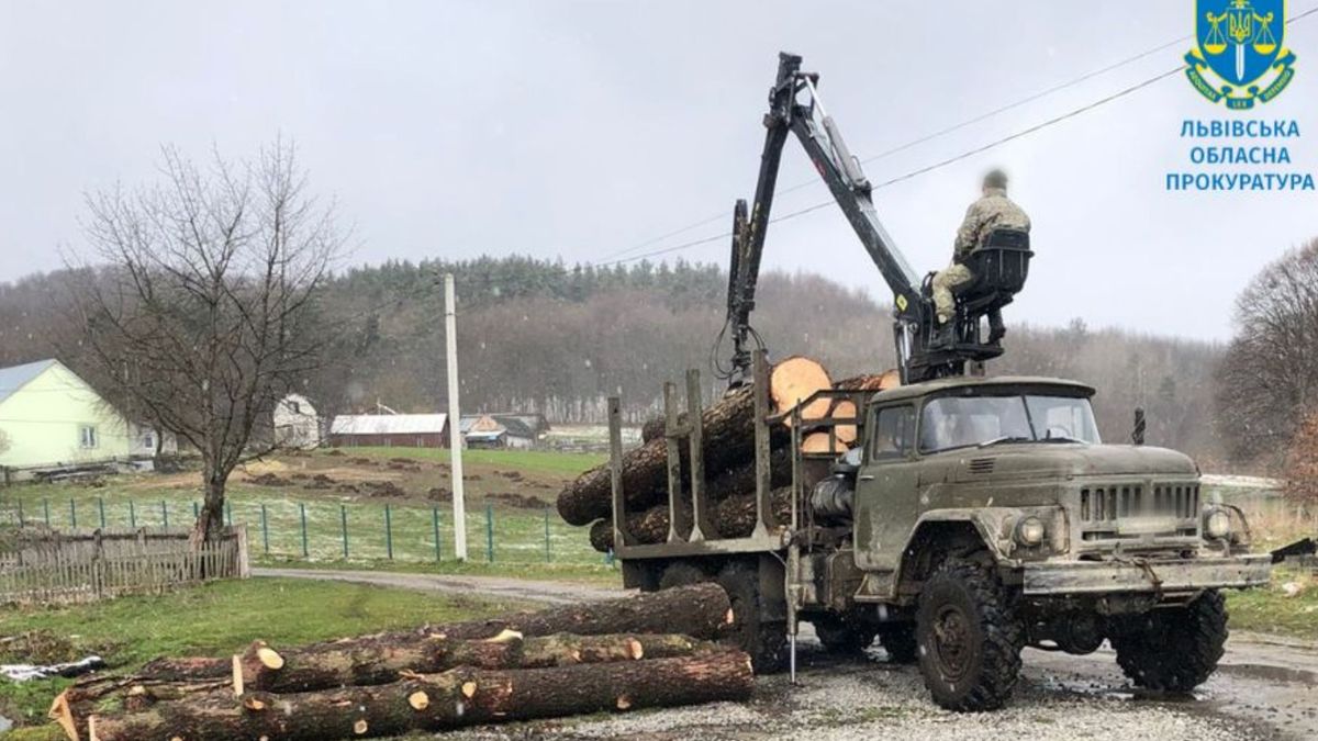 На Яворівщині викрили лісника, який вимагав 76 тис. грн хабара
