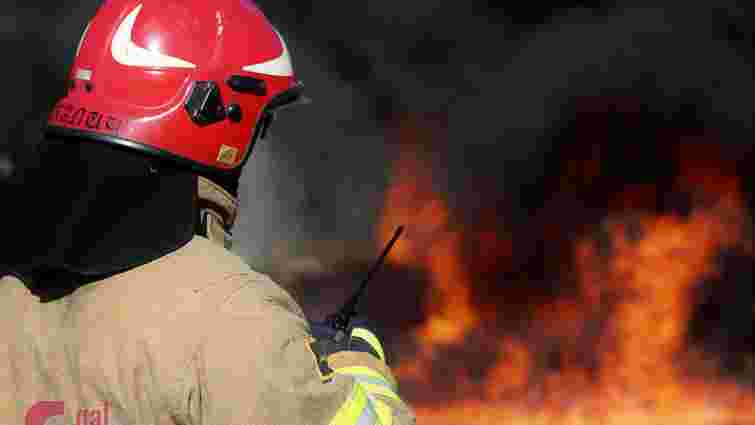 Під час пожежі у дачному масиві під Івано-Франківськом загинув 41-річний чоловік