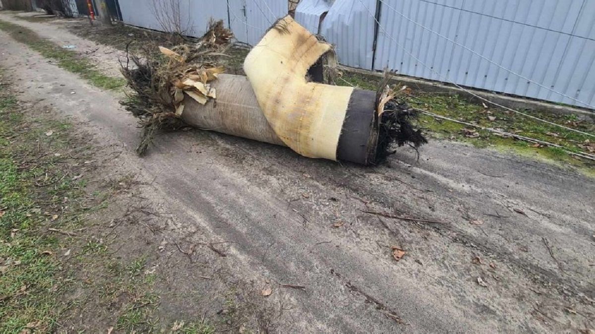 Росіяни накопичили «Циркони» в Криму для точкових ударів по Україні, – Гуменюк