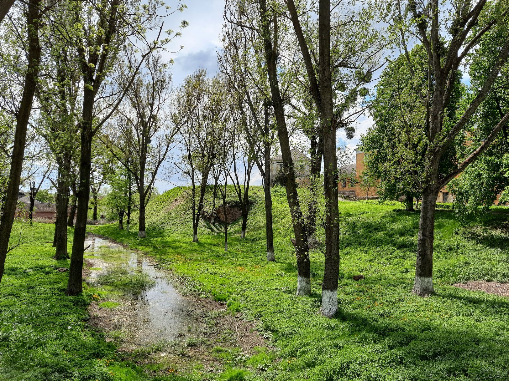 Вали довокла замку (фото ZAXID.NET)