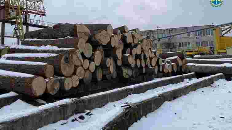 У Чорнобильському заповіднику незаконно зрубали 100-річні дуби на майже 60 млн грн