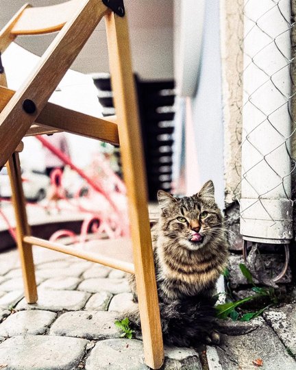 Кав'ярня Makers у Харкові (Фото з соцмереж кав'ярні)