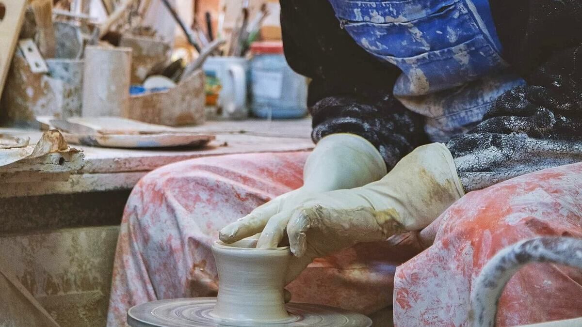 Сади, ферми, фотостудії, зоомагазини