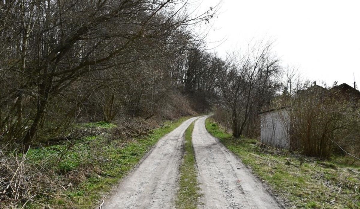 Тернопільська поліція затримала 26-річного рецедивіста за сексуальну наругу над жінкою